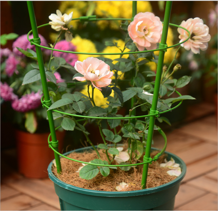 plant cage indoor 4 Sets Flowers Durable Climbing Plant Tomato Cage Indoor Potted Plaid – ausyard