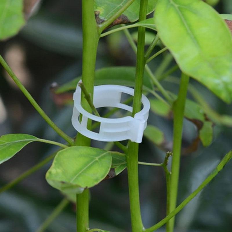 plastic plant support clips 50pcs 30mm Plastic Garden Plant Support Clips Durable Vines Vegetable –  ausyard